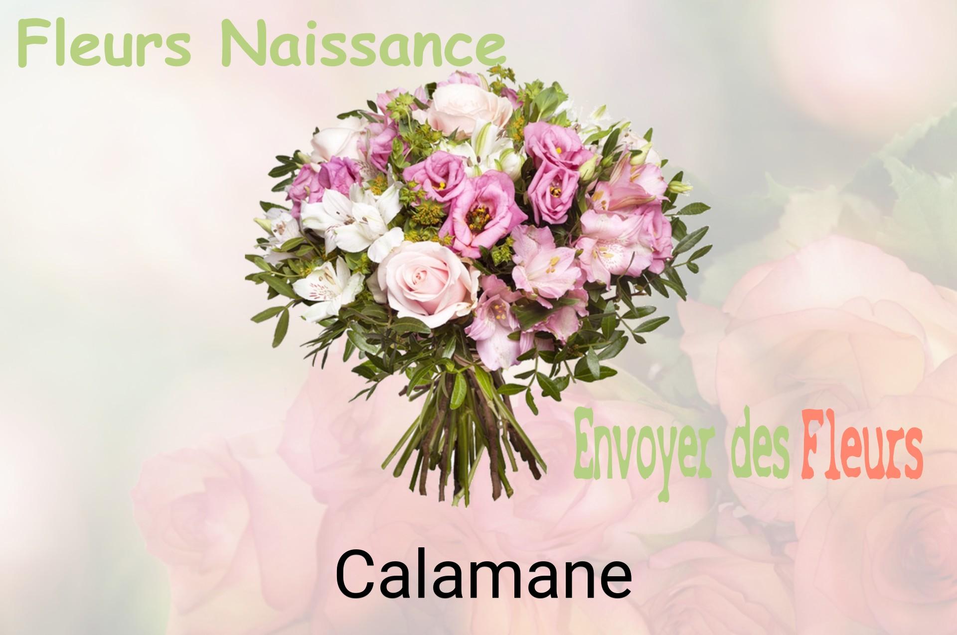 Bouquet de fleurs de naissance livré à Calamane
