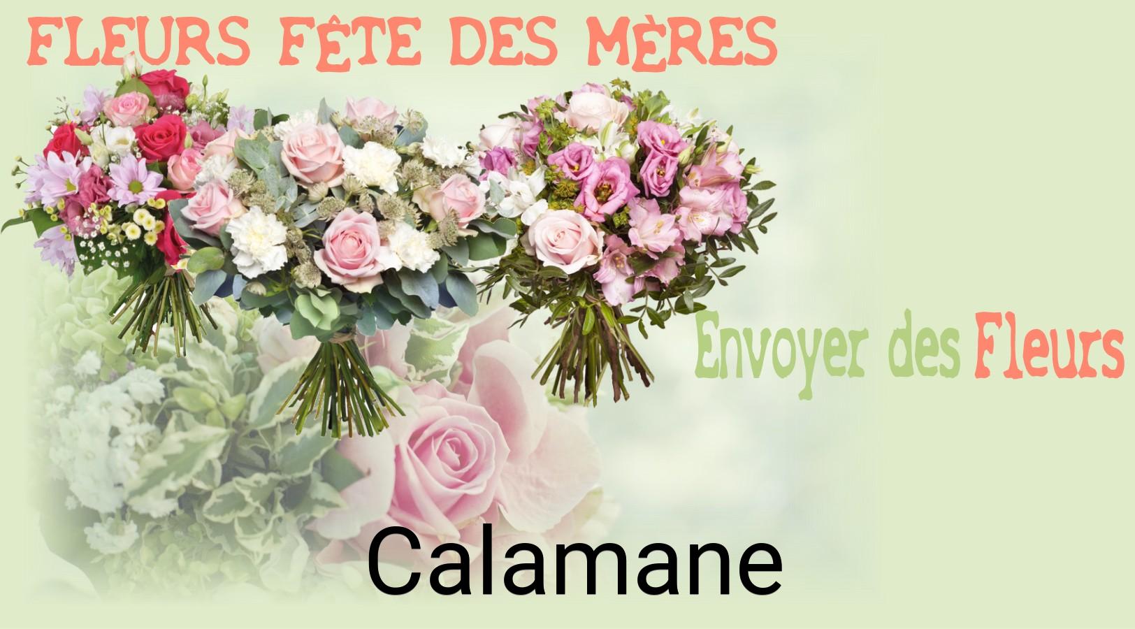 Bouquet de Fête des Mères livré à Calamane